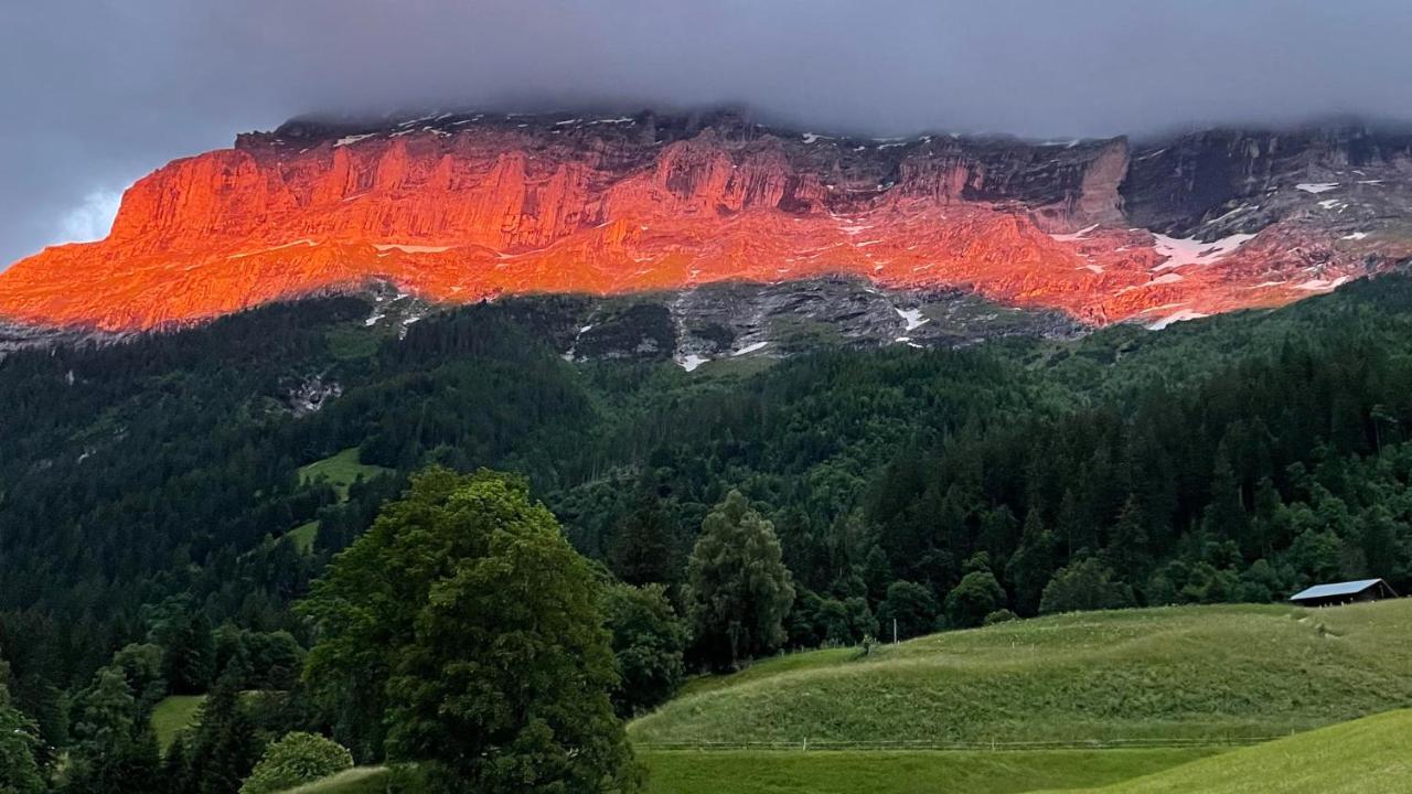 Ferienwohnung Im Gruenen Grindelwald Exteriér fotografie