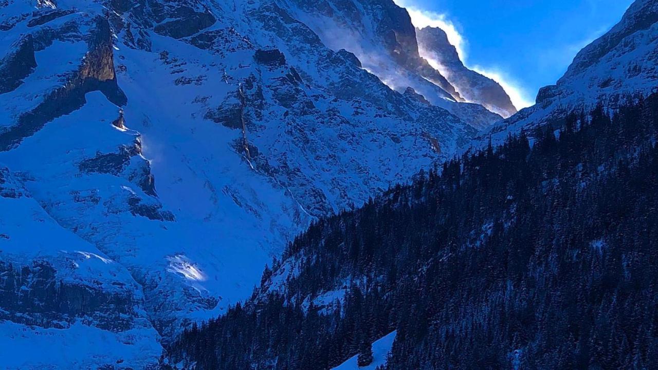 Ferienwohnung Im Gruenen Grindelwald Exteriér fotografie