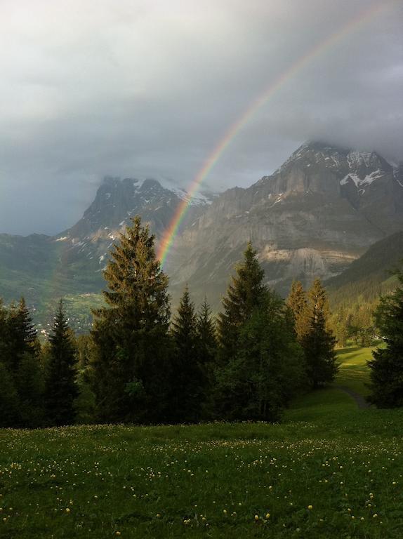 Ferienwohnung Im Gruenen Grindelwald Exteriér fotografie