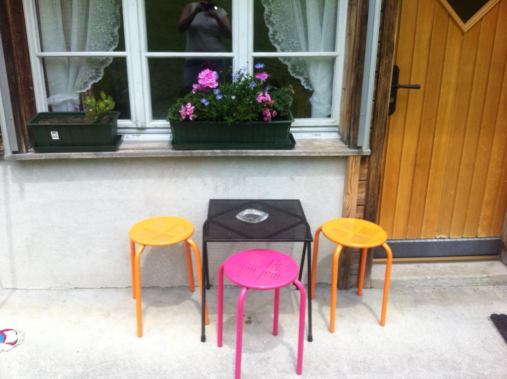 Ferienwohnung Im Gruenen Grindelwald Pokoj fotografie