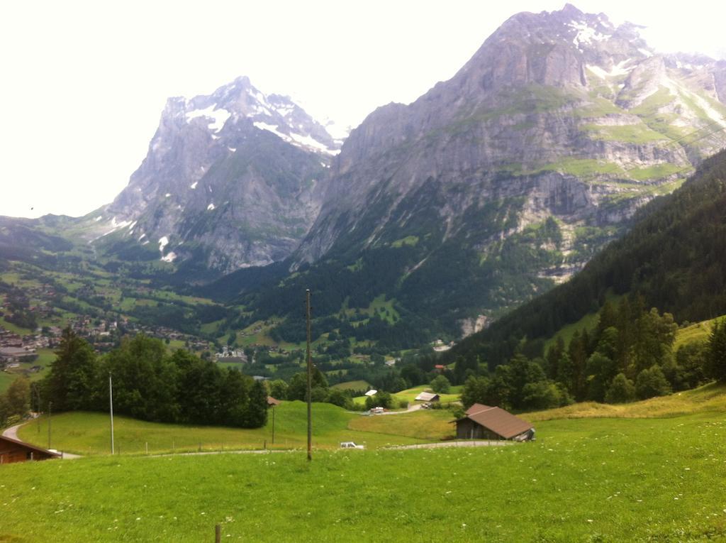 Ferienwohnung Im Gruenen Grindelwald Pokoj fotografie