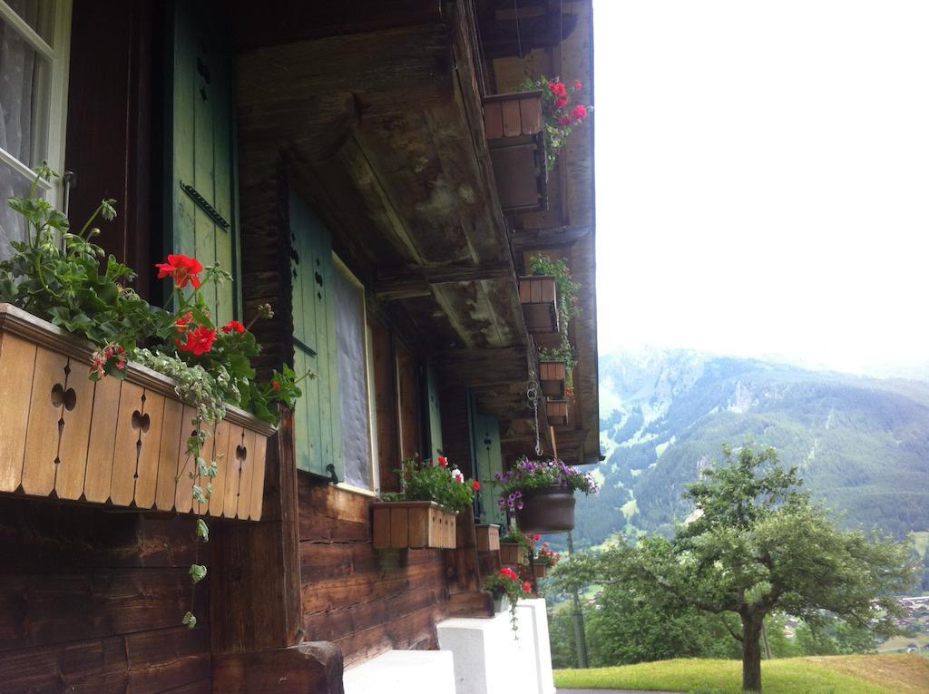 Ferienwohnung Im Gruenen Grindelwald Exteriér fotografie