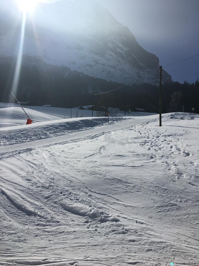 Ferienwohnung Im Gruenen Grindelwald Exteriér fotografie