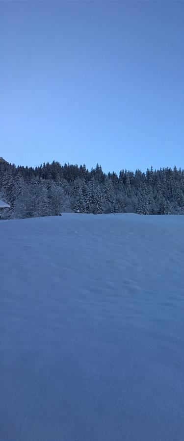 Ferienwohnung Im Gruenen Grindelwald Exteriér fotografie