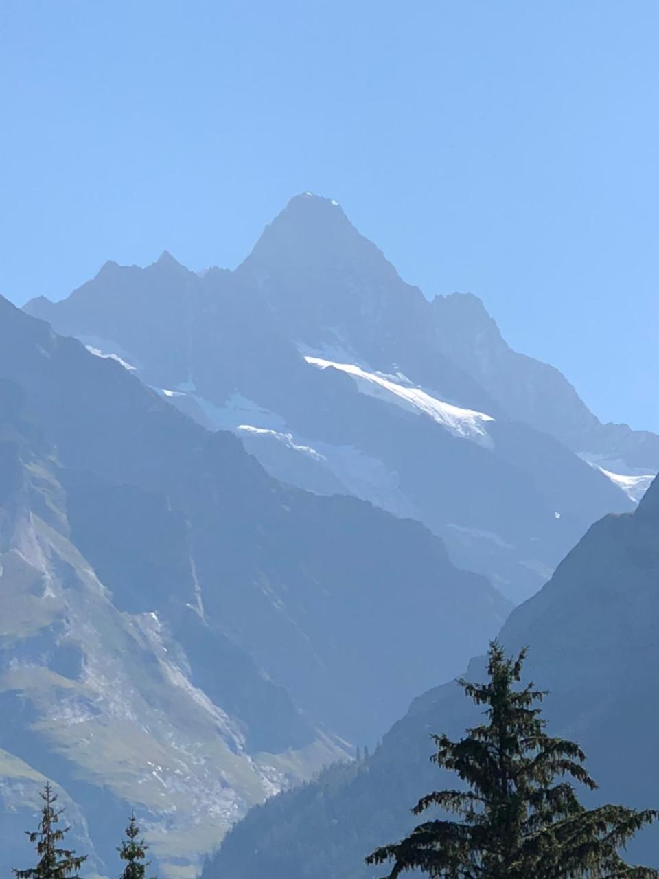 Ferienwohnung Im Gruenen Grindelwald Exteriér fotografie