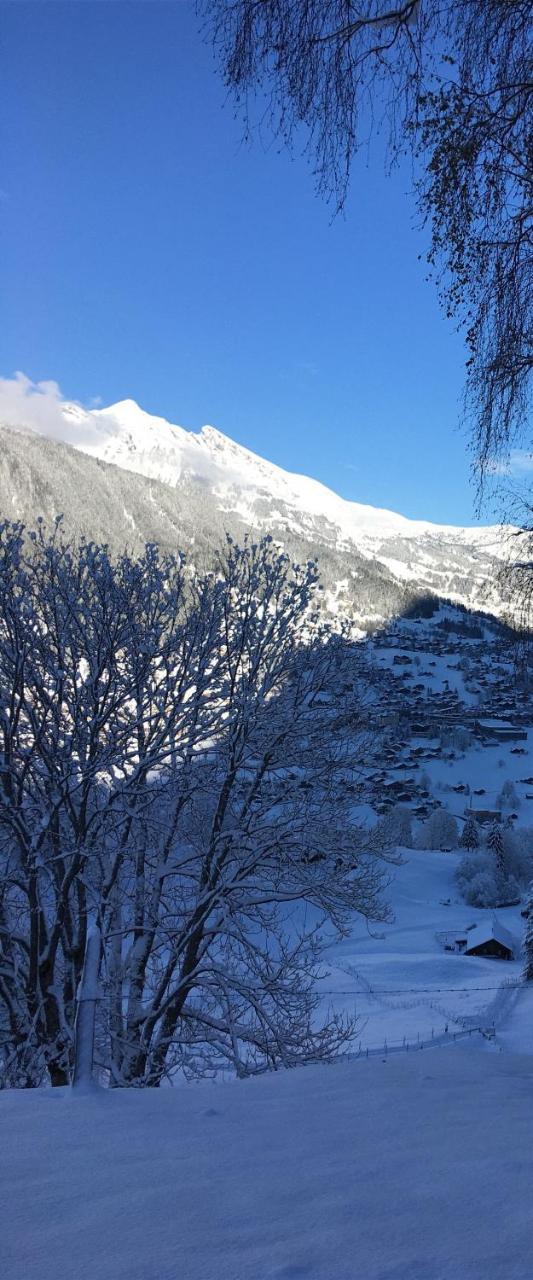 Ferienwohnung Im Gruenen Grindelwald Exteriér fotografie