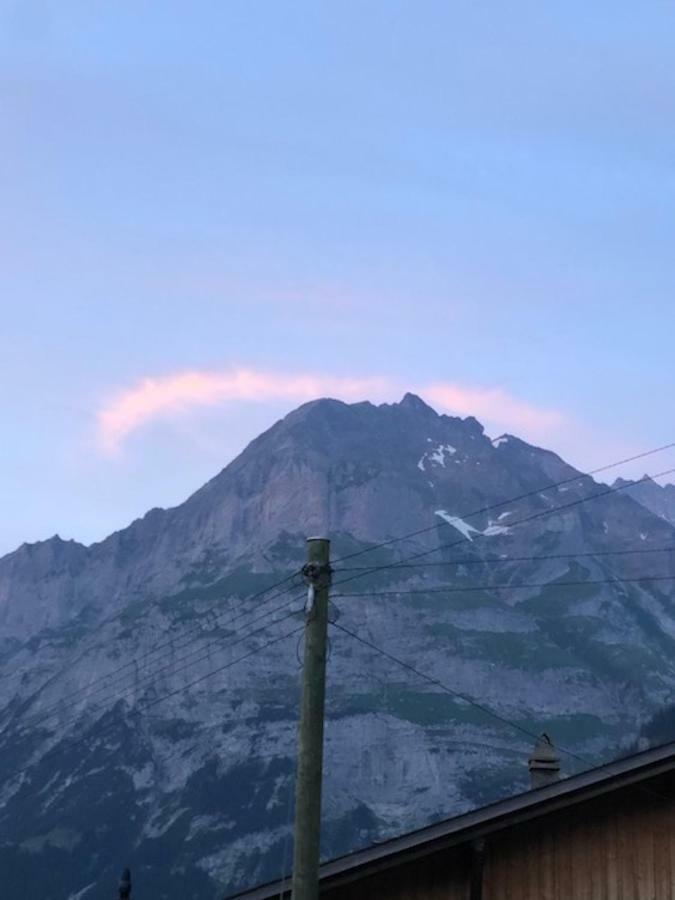 Ferienwohnung Im Gruenen Grindelwald Exteriér fotografie