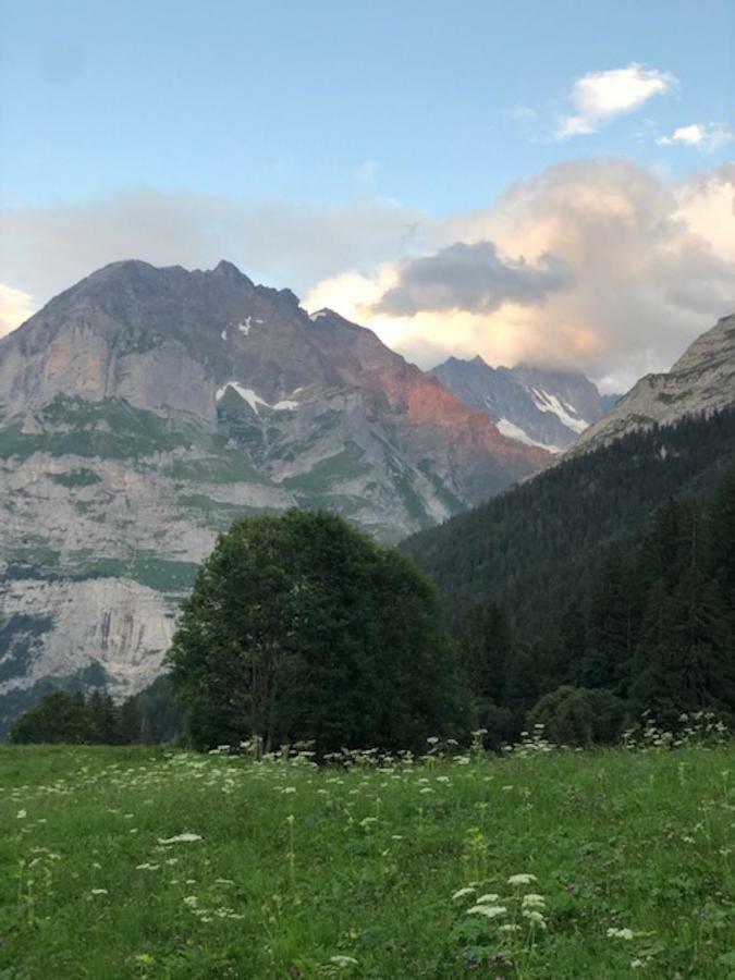 Ferienwohnung Im Gruenen Grindelwald Exteriér fotografie